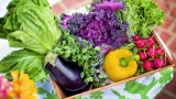 Ешьте 5 продуктов после 60: замедлят старение — принесут массу пользы для здоровья