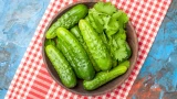 Малосольные огурцы готовлю за 2 часа: получаются хрустящими, вкусными — все едят с аппетитом и хвалят