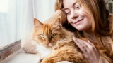 Кошка позволяет гладить себя по животу: что это означает и как реагировать — признаки выбора хозяина