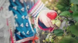 Лучшая подкормка для клубники: нужна прямо сейчас, во время цветения — чтобы ягоды были крупные