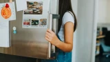 Почему магниты на холодильнике опасны: 5 причин — последствия могут быть плачевными