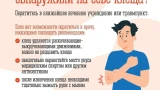 «Наши реалии»: Кандалакшский заповедник уточнил информацию о клещах на Севере и призвал к осторожности в мае и июне