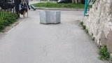 Цветочница или урна: у северян возник спор из-за вазона в Кольском районе