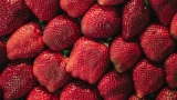 Вы всегда будете получать урожай размером с кулак: клубника будет слаще мёда — правила удобрения