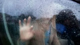 Как отмыть машину от летней мошкары: без царапин и лишних трат — самый простой способ