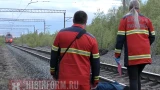 Без головы: в Апатитах на рельсах нашли труп мужчины