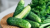 Пероноспороз это смерть для огурцов: соседка научила, как спасти урожай за 3 дня