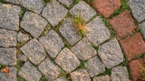Ни травинки: как очистить плитку от сорняков — 5 проверенных методов, которые работают на 100%