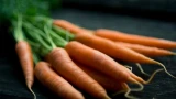 Морковь вырастет крупная, сочная и ровная: этого добиться может каждый — есть несколько хитростей