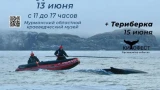 13 июня в Краеведческом музее состоится «День Кита»