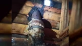 Огонь повредил крышу дачи в Кольском районе