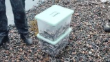1,5 тысячи корюшек могут стоить мончегорскому браконьеру штрафа и свободы