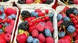 3 дешёвых продукта против рака: борцы с онкологией — защитят клетки ДНК