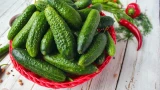 Магазинные средства больше не покупаю, экономлю: целых 4 натуральные подкормки для огурцов — заменят химию