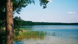 На обед всегда 3 вида супа: впечатления о санатории в Беларуси — отзыв туристки