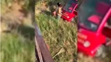 На директора «Тайгана» напали тигры: Олег Зубков в реанимации — состояние тяжелое