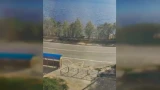 Дикий лось прогулялся по улице в Мончегорске
