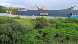 Административное здание с магазином на Книповича в Мурманске планируют построить в 2026-м
