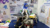 «Осьминог» для уборки нефти и беспилотник для льдов Арктики: школьники из 3 стран создают в Мурманске своих роботов