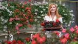 Прячем страшный забор: 6 растений, которые оформят сад в угловых зонах — самые неприхотливые