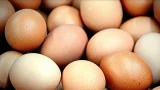 Яйца можно готовить не так, как привыкли: необычные способы — получается намного лучше