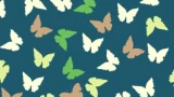 Только внимательные люди быстро справятся с заданием: дается всего 7 секунд — проверьте свою зрительную память