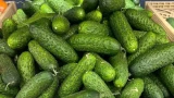 Забыл о жёлтых пятнах на огурцах: всего 1 обработка — научила соседка-агроном