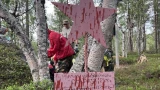 Видео из экспедиций к местам боевой славы в Арктике оценят на всероссийском конкурсе «Земля приключений»