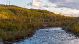 Оплачивать не нужно: Минприроды разъяснило рассылку начислений охотникам Мурманской области