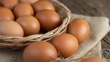 Так вы яйца ещё точно не готовили! Простой рецепт в сметане — вкус, который удивит всех