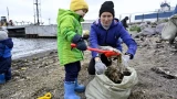 340 кг мусора вывезли взрослые и дети с территории у Приморской площади в Североморске