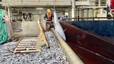 Появления бирж для мороженой рыбы в России приведёт к подорожанию и увеличению импорта на прилавках — эксперт