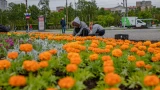 Ковры, сады и сантехника: Мурманчане определили приоритеты в услугах