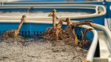 Рыбу и морепродукты из Мурманской области экспортировали в основном в Европу, на втором месте — Китай