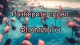 Грация на одной ноге: что скрывает слово — ФЛАМИНГО