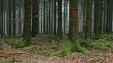 Смертельные локации на Земле: топ-8 самых опасных мест — не суйтесь ни при каких обстоятельствах