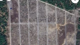 На создание проекта нового кладбища в Кировске выделено 13,5 млн рублей