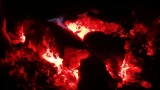 В лесах Мурманска оштрафованы первые нарушители противопожарного режима — губернатор