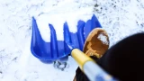 Финский секрет против липкого снега: как за 5 минут превратить лопату в супер-инструмент — гениальный трюк с растворителем