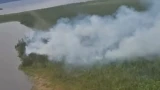 Бдительный летчик предотвратил лесной пожар в Ковдозерском лесничестве