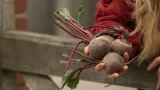 Свекла краснеет и не растет: 3 срочных решения, которые спасут урожай за неделю — вернём свекле здоровье