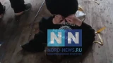 Жители Мурмашей просят Александра Бастрыкина наказать подростков-извергов, выбросивших 13-летнего мальчика в окно