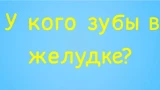 Только 3% эрудитов могут дать правильный ответ: остальные в ступоре — интересно, получится ли у вас