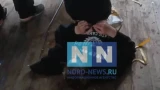 Выбросили из окна «по пьяни»: пострадавший ребенок из Мурмашей оказался частью группировки