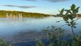 Правила безопасного летнего отдыха в Кольском Заполярье — Игорь Морарь