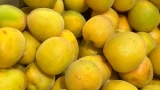 «Светофор»: внеплановая проверка и штрафы в 235 тысяч рублей