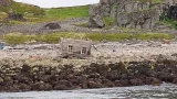 Штормы делают свое дело: Бывший домик ММБИ в Дальних Зеленцах обрушился