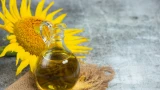 Подсолнечное масло — мина замедленного действия: чем оно опасно для людей старше 50 лет