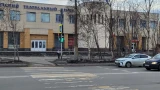 Чиновники назвали причины усыхания деревьев в Мурманске