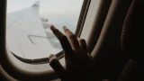 Check-in chicken — поздняя регистрация на авиарейс: можно ли купить билет на лучшие места